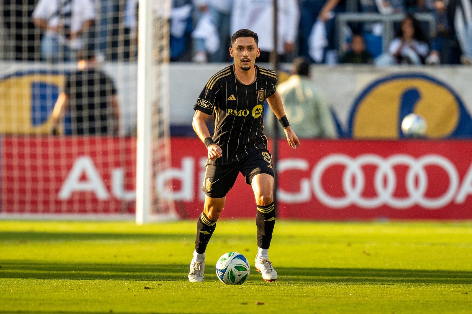 Marco Delgado